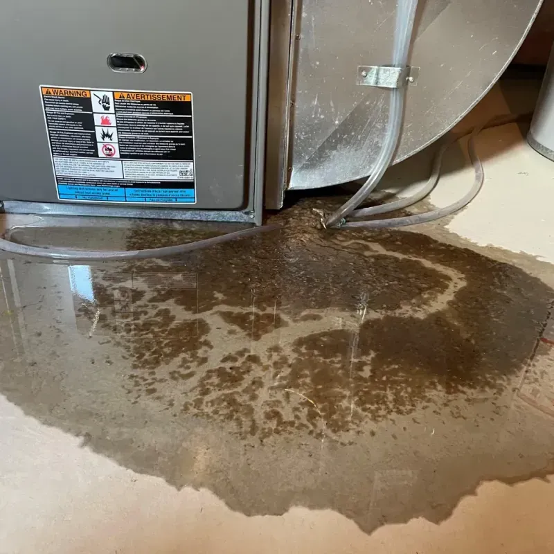 Appliance Leak Cleanup in Flora, IL